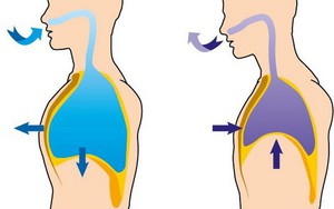 Bạn trằn trọc, khó ngủ, mất ngủ: Đừng quên bí quyết giúp bạn ngủ nhanh chỉ sau 1 phút!