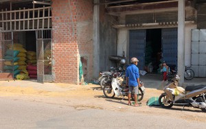 Vụ vàng bỏ quên trong bao lúa: Không tìm được người đánh mất