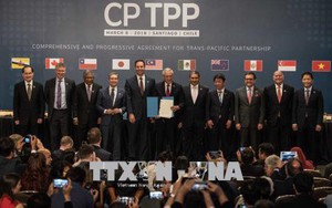 Việt Nam có vai trò quan trọng trong chiến lược CPTPP