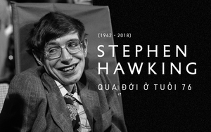 "Mong giáo sư Stephen Hawking tiếp tục bay như siêu nhân..."