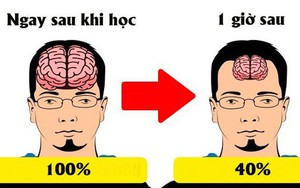 Lý do chúng ta luôn "học trước quên sau" và bí kíp để ghi nhớ "siêu" như máy tính