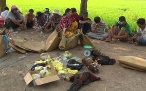 Hốt gọn ổ đá gà bên bờ ruộng trong ngày rằm tháng Giêng