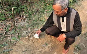 Vụ nghi báo hoa mai bắt dê: 5 con dê tìm về trang trại, 4 con bị chết ở nhiều nơi