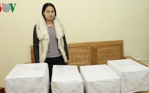 Yên Bái: Bắt giữ 28 kg quả thuốc phiện