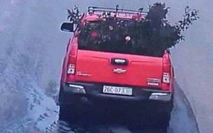 Công an trích xuất camera truy tìm chiếc xe ô tô vào vườn trộm cây hoa hồng cổ gần 20 tuổi