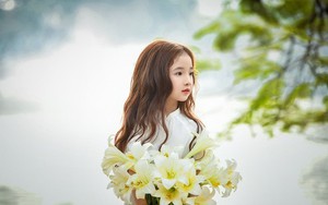 Vẻ đẹp mong manh của cô bé Hà Nội bên hoa loa kèn khiến cư dân mạng thổn thức