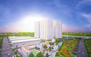 Chủ đầu tư Carina Plaza bị cháy làm 13 người chết và 5 "siêu dự án" tại TPHCM