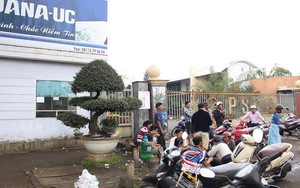 Đà Nẵng cho phép 2 nhà máy thép gây ô nhiễm bị dân bao vây hoạt động trở lại