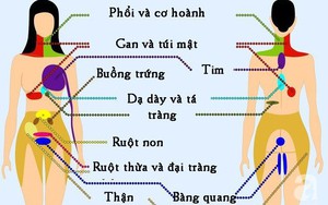 9 vị trí nếu thấy đau thì bạn nên cẩn trọng và đi khám càng sớm càng tốt
