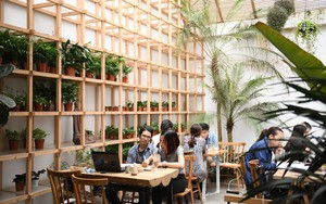 Cận cảnh quán cà phê Hà Nội được báo Mỹ ca ngợi như "Rừng Nhiệt đới trong lòng thành phố"