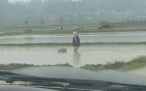 Mẹ bầu bụng to vượt mặt vẫn đi cấy ngoài ruộng khiến ai nhìn cũng thương