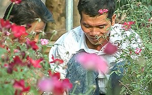 Chuyện về “gã khùng” “cõng” mùa xuân lên núi