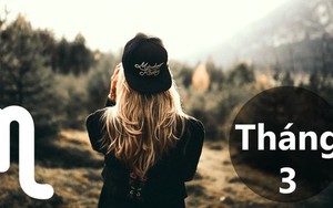 Tử vi tháng 3 của Bọ Cạp: Công việc như ý, lộc rơi đầy đầu