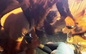 Vụ quán cơm ở Đà Lạt đánh khách ngất xỉu: Tỉnh Lâm Đồng yêu cầu xử lý nghiêm