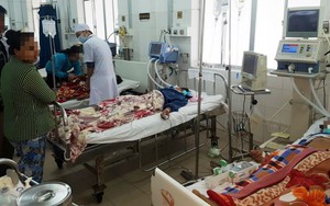 Ăn lẩu cá nóc, 5 người ngưng tim, ngưng thở