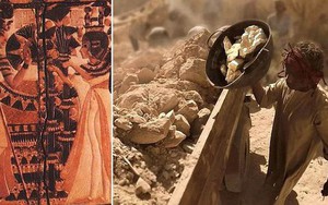Sắp tìm ra mộ nữ hoàng bi đát nhất của Ai Cập: Phải cưới ông nội, cha và anh trai mình
