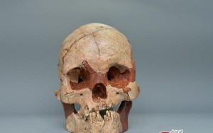 Phát hiện hộp sọ người hoàn chỉnh 16.000 năm tuổi