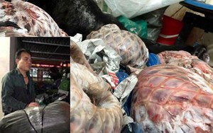 Bắt đối tượng vận chuyển tê tê, tay gấu ở bến xe