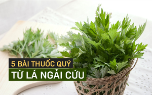 Ngải cứu được xem là 'thảo dược quý' trong sách cổ: 5 cách dùng hiệu quả bạn nên tham khảo