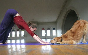 Bạn đã biết đến Doga - Trào lưu kỳ lạ tập yoga cùng... cún?