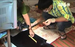 2 vợ chồng tử vong sau tiếng súng nổ: Thêm vụ chồng giết vợ rồi tự sát