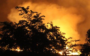 Đang cháy lớn tại rừng tràm ở huyện Bình Chánh, TP. HCM