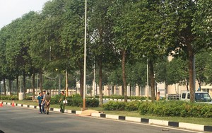 Xe máy tông trụ điện rồi văng xa hơn 20m, nam thanh niên chết tại chỗ