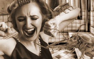 Một nhà máy Trung Quốc sử dụng AI để nuôi hơn 6 tỷ con gián mỗi năm