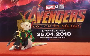 Khách mời đặc biệt gây sốt hơn cả sao Việt tại họp báo phim bom tấn Avengers