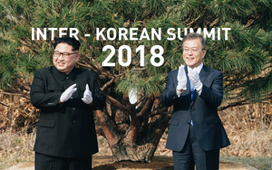[PHOTO STORY] Xung quanh cây thông gắn kết Tổng thống Hàn Quốc Moon Jae-in và lãnh đạo Triều Tiên Kim Jong-un