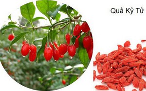 Bài thuốc cho nam giới khó “cương”