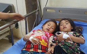 Cứu sống 2 bé gái người Mông ăn nhầm lá ngón