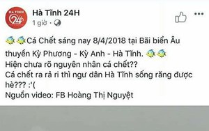 Thực hư tin đồn cá chết trắng bờ biển gần khu vực Formosa