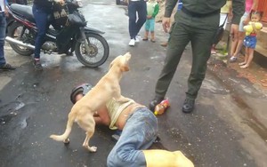 Người đàn ông say rượu nằm giữa đường, nhưng phản ứng của chú chó mới là điều gây sốt
