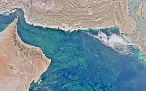 Phát hiện “vùng biển chết” lớn nhất thế giới ở Vịnh Oman