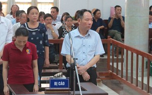 Cựu Phó Giám đốc Sở Nông nghiệp và Phát triển nông thôn Hà Nội lĩnh án 12 năm tù
