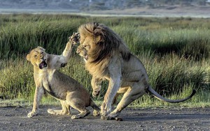 24h qua ảnh: Sư tử cái "điên tiết" tát thẳng mặt bạn tình lúc cãi nhau