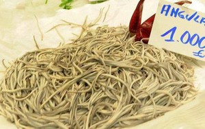 Nhạt nhẽo, không mùi vị nhưng thực phẩm này lại có giá bán cao không tưởng: 1.000 euro/kg