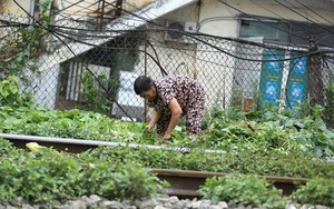 Mưu sinh trên đường ray tàu hỏa, nhìn đã thấy rùng mình