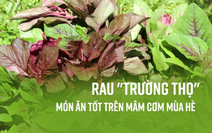 Đông y gọi đây là rau "trường thọ" vì 6 tác dụng quý hơn trứng, phòng ngừa nhiều loại bệnh