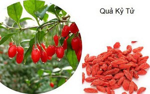Bài thuốc cho nam giới khó “cương”