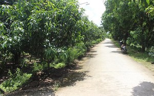 Trục lợi ngân sách nhà nước, Phó chủ tịch TP. Cao Lãnh bị cách hết chức vụ trong Đảng