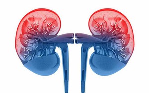 9 dấu hiệu cảnh báo sớm bệnh thận mãn tính: Hãy đi khám khi bệnh chưa tiến triển nặng