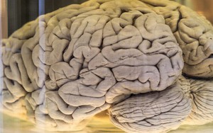 Mong ước bất tử của con người có thể trở thành địa ngục không lối thoát