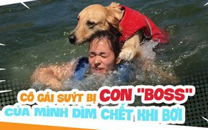 Dắt cún cưng đi bơi, cô gái trẻ suýt bị chính con "boss" của mình dìm chết