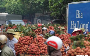 Ảnh: Dân Bắc Giang xếp hàng cả tiếng đồng hồ chờ cân vải