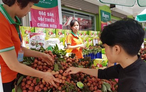 “Đắng lòng” vải thiều rẻ như cho, 6.000đ/kg người mua vẫn dửng dưng