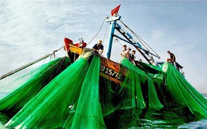 Lại muốn đổ 1 triệu m3 bùn, cát xuống biển Bình Thuận