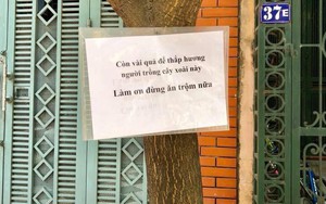Tấm biển báo có nội dung đặc biệt khiến người đi đường phải dừng lại xem