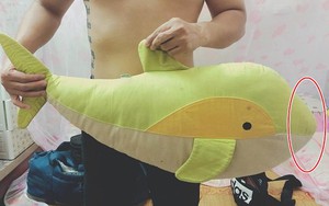 Vợ chồng cãi nhau cả ngày trời chỉ vì con vật nhồi bông: Đây là cá voi hay cá heo?